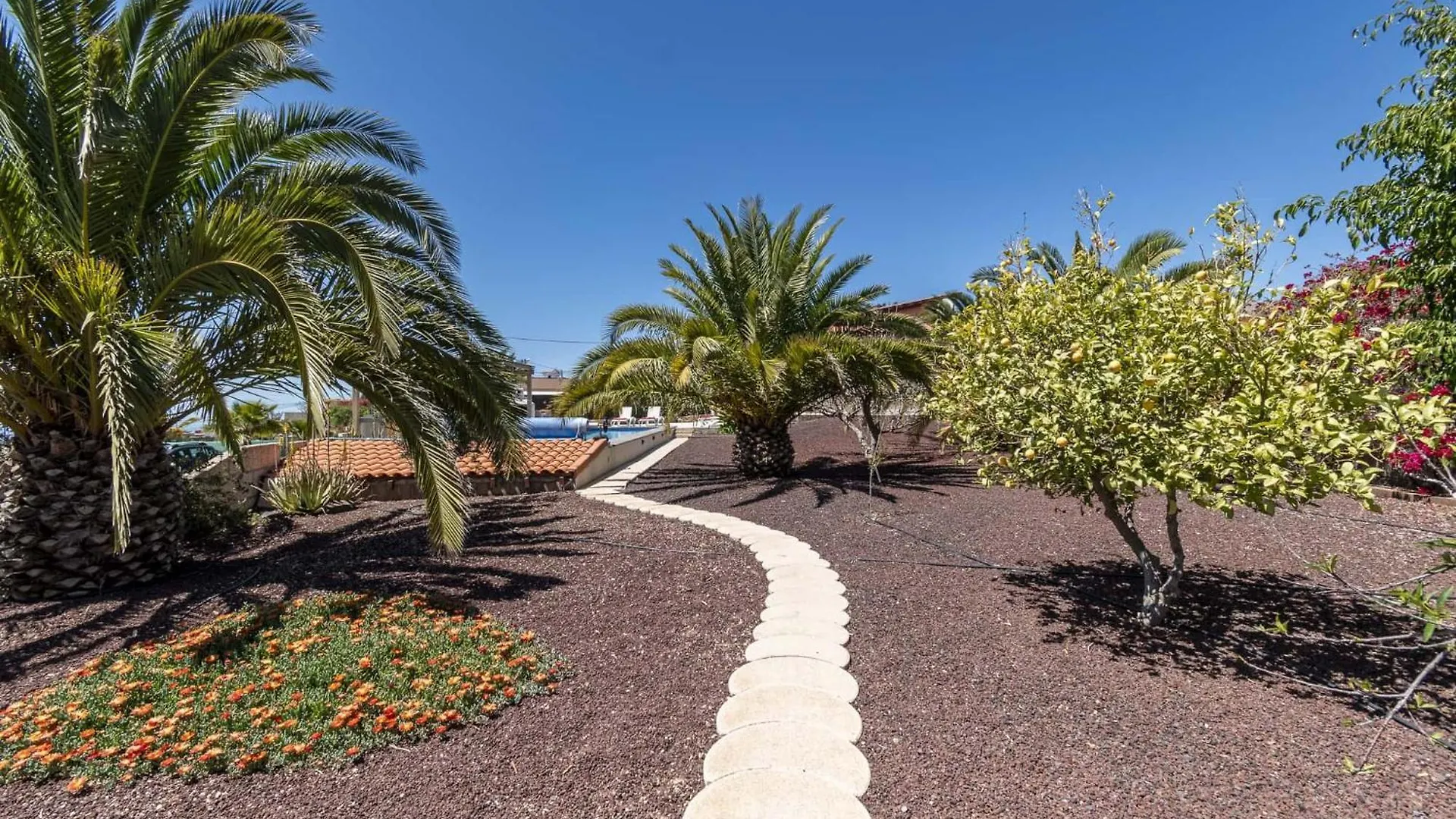 Holiday home Casa Las Palmeras Granadilla De Abona Spain